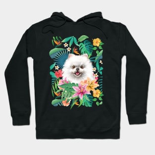 Tropical Pomeranian 6 Hoodie